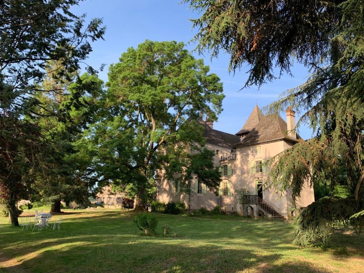 Chateau Du Mauny, Gites Et Chambres D'Hotes En Bourgogne Rosey Εξωτερικό φωτογραφία